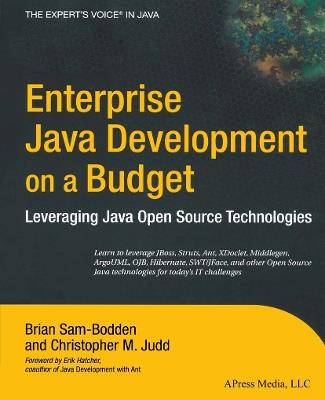Enterprise Java Development on a Budget: Leveraging Java Open Source Technologies - Brian Sam-Bodden,Christopher M Judd - cover