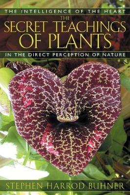 The Secret Teachings of Plants: The Intelligence of the Heart in Direct Perception to Nature - Stephen Harrod Buhner - cover