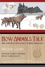 How Animals Talk