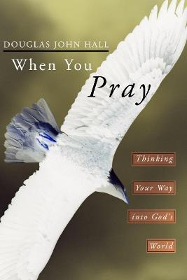 When You Pray: Thinking Your Way Into God's World - Douglas John Hall - cover