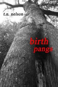 Birth Pangs - Tim Nelson - cover