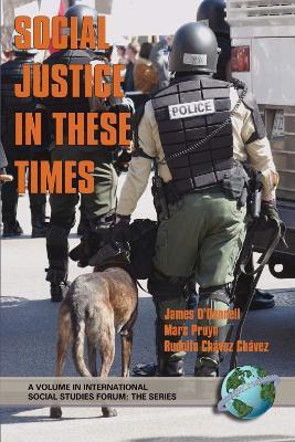 Social Justice in These Times - cover