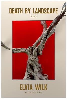 Death By Landscape - Elvia Wilk - cover