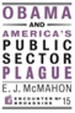 Obama and America's Public Sector Plague