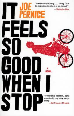 It Feels So Good When I Stop - Joe Pernice - cover