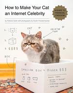 How to Make Your Cat an Internet Celebrity