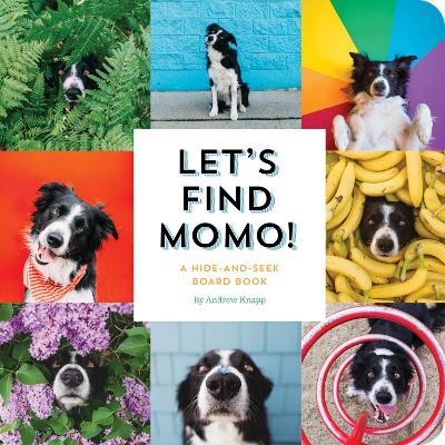 Let's Find Momo!: A Hide-and-Seek Board Book - Andrew Knapp - cover