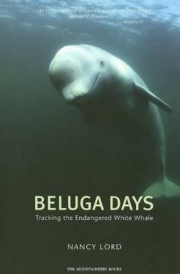 Beluga Days: Tales of an Endangered White Whale - Nancy Lord - cover