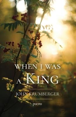 When I Was a King - John Krumberger - cover