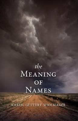 The Meaning of Names - Karen Shoemaker - cover