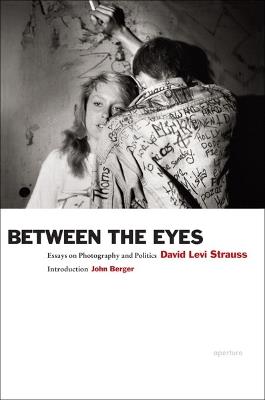 Between the Eyes: Essays on Photography and Politics - David Levi Strauss - cover