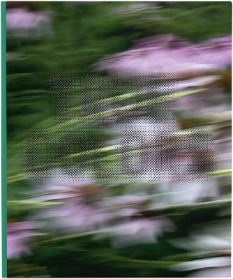 Zora J Murff: True Colors: (or, Affirmations in a Crisis) - cover