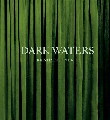 Kristine Potter: Dark Waters - cover