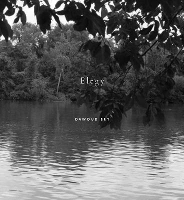 Dawoud Bey: Elegy - Valerie Cassel Oliver - cover