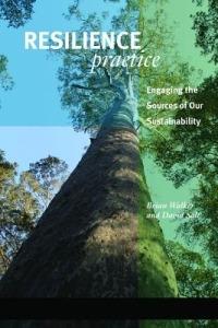 Resilience Practice: Building Capacity to Absorb Disturbance and Maintain Function - Brian Walker,David Salt - cover