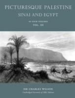 Picturesque Palestine: Sinai and Egypt: Volume III - Charles Wilson - cover