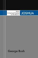 Notes, Critical and Practical, on the Book of Joshua