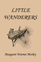 Little Wanderers, Illustrated Edition (Yesterday's Classics) - Margaret W. Morley - cover