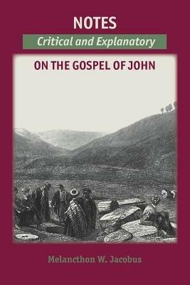 Notes on the Gospels: Critical and Explanatory on John - Melancthon W Jacobus - cover