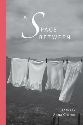 A Space Between - Anna Citrino - cover