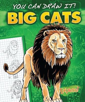 Big Cats - Jon Eppard - cover