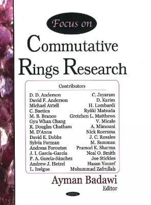 Focus on Commutative Rings Research - cover
