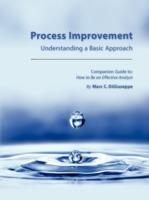 Process Improvement: Understanding a Basic Approach - Companion Guidebook to How to Be an Effective Analyst - Marc C. DiGiuseppe - cover