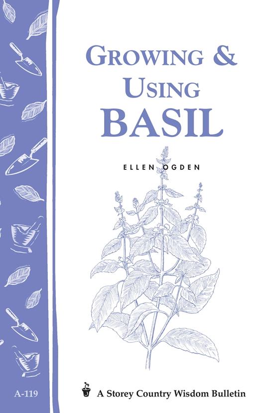 Growing & Using Basil