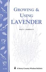 Growing & Using Lavender