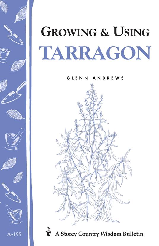 Growing & Using Tarragon