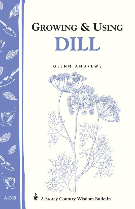 Growing & Using Dill