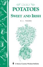 Potatoes, Sweet and Irish