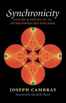 Synchronicity: Nature and Psyche in an Interconnected Universe - Joseph Cambray - cover
