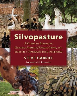 Silvopasture: A Guide to Managing Grazing Animals, Forage Crops, and Trees in a Temperate Farm Ecosystem - Steve Gabriel - cover