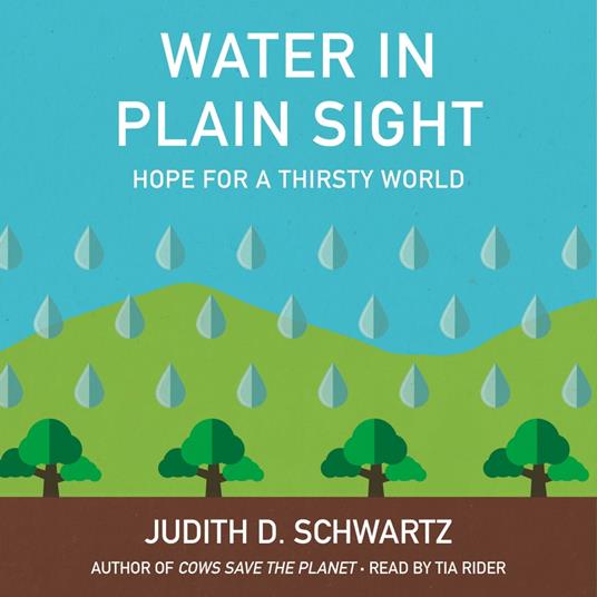 Water in Plain Sight