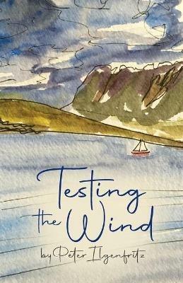 Testing the Wind - Peter Ilgenfritz - cover