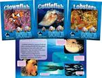 Underwater World Set II