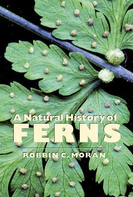 A Natural History of Ferns - Robbin C. Moran - cover
