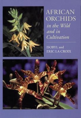 African Orchids in the Wild and in Cultivation - Isobyl la Croix,Eric la Croix - cover