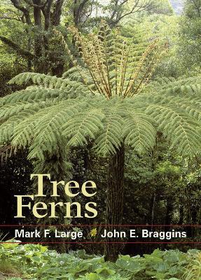 Tree Ferns - M. F Large,J. E Braggins - cover