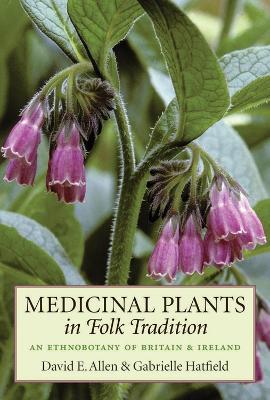 Medicinal Plants in Folk Tradition - David E. Allen,Gabrielle Hatfield - cover