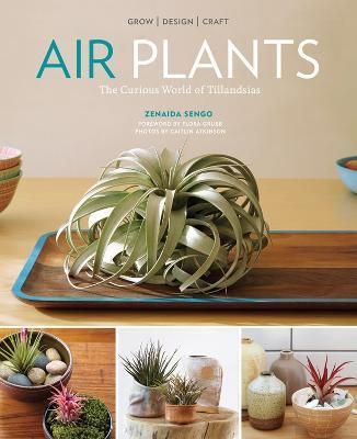 Air Plants: The Curious World of Tillandsias - Zenaida Sengo - cover