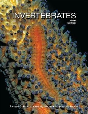 Invertebrates - Richard C. Brusca,Wendy Moore,Stephen M. Shuster - cover