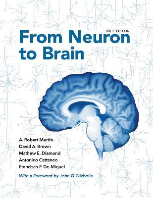 From Neuron to Brain - A. Robert Martin,David A. Brown,Mathew E. Diamond - cover