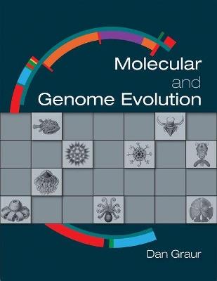 Molecular and Genome Evolution - Dan Graur - cover