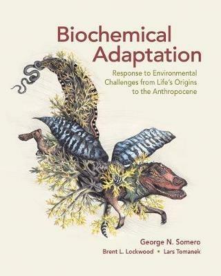 Biochemical Adaptation: Response to Environmental Challenges from Life's Origins to the Anthropocene - George N. Somero,Brent L. Lockwood,Lars Tomanek - cover
