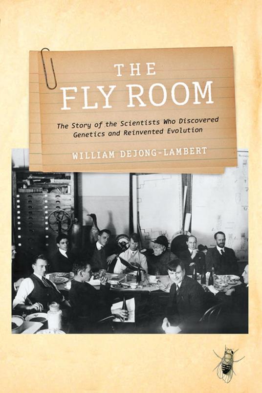The Fly Room