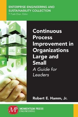 Continuous Process Improvement in Organizations Large and Small: A Guide for Leaders - Jr Robert E Hamm - cover