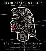 The Broom of the System