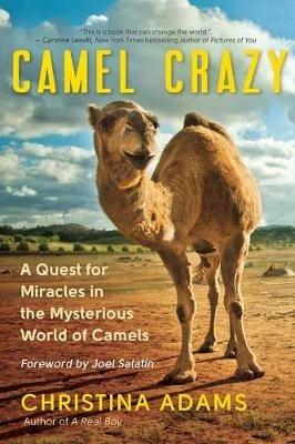 Camel Crazy: A Quest for Healing in the Secret World of Camels - Christina Adam - cover